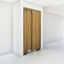 Closet Telire 120cm